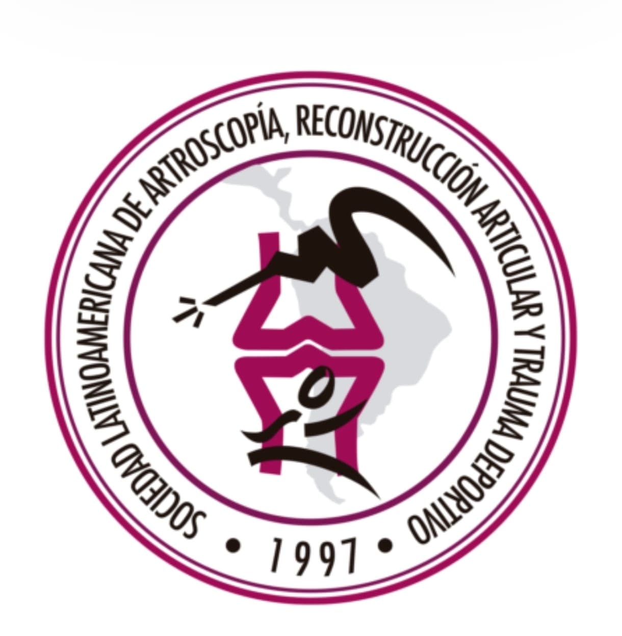 Sociedad Latinoamericana de Artroscopia